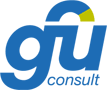 gfu-consult GmbH